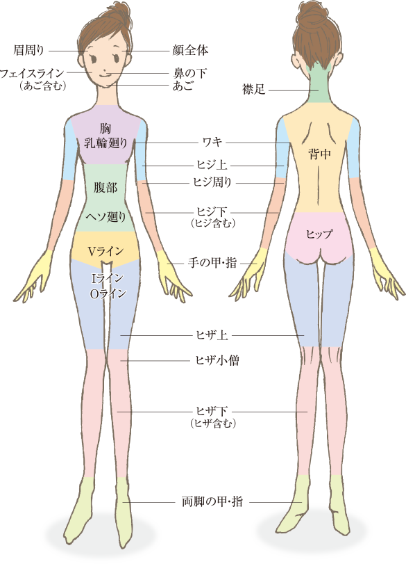 脱毛施術:部位エリアの図